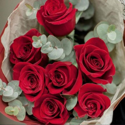 Букет из 7 красных роз (Эквадор) 50 см Freedom с эвкалиптом